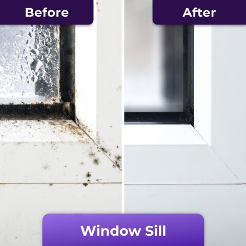 Mold removed from bathroom tile